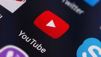 YouTube如何運用機器學習賦能企業(yè)營銷 從定制廣告制作到精準發(fā)布