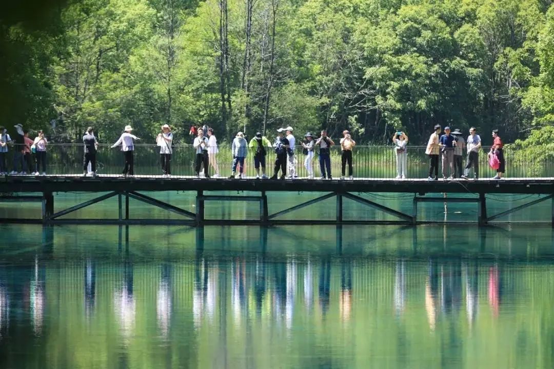 游客滿意度超96%!九寨溝景區調度能力太強火上熱搜!
