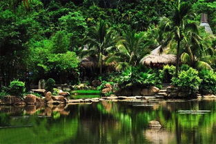 在溫暖保亭遇見那香山，探索大三亞旅游經濟圈的景區管理之道