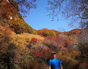 2019平山駝梁風景區游玩全攻略 門票價格、游覽路線、地址與服務詳解